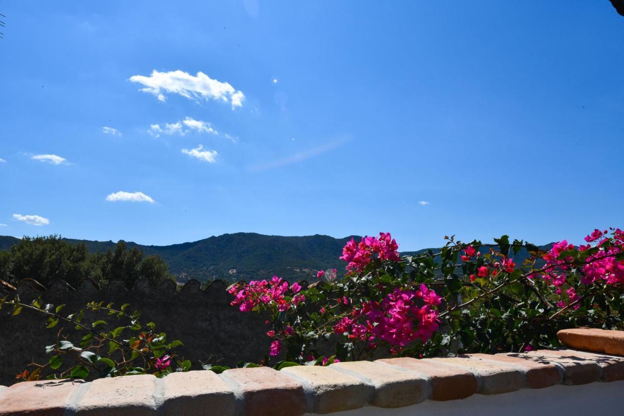Vila Bentosa Enas Exteriér fotografie